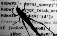software-bug-640x404